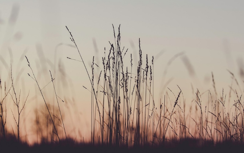 VIRIDE ENERGY - BLOG - che ambiente consegnamo ai nostri figli