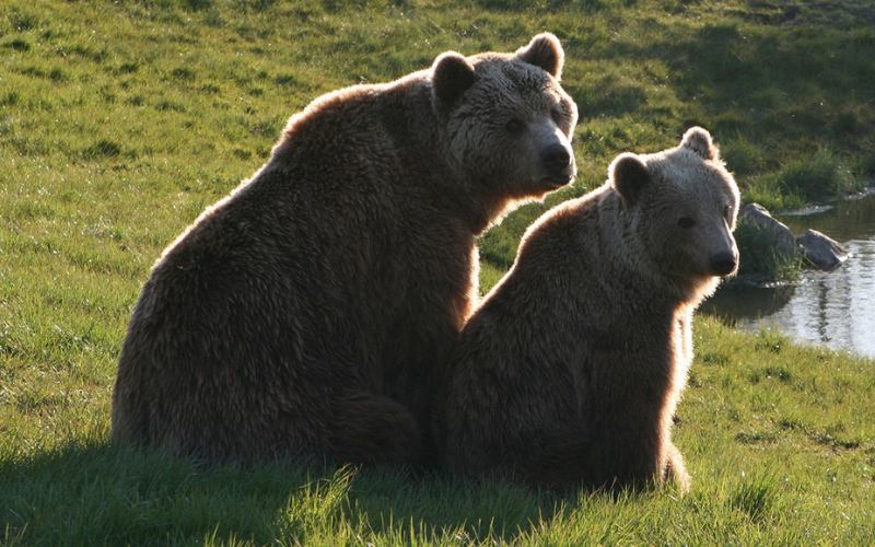 VIRIDE ENERGY - BLOG - sciopero studentesco